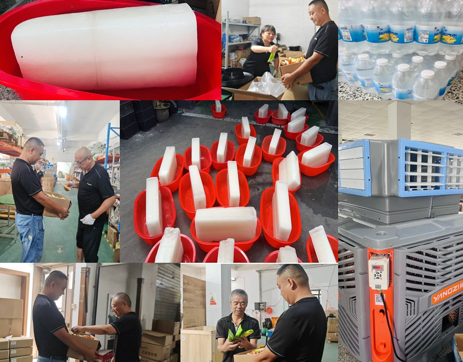 凝心聚力战高温， 贴心保障稳生产